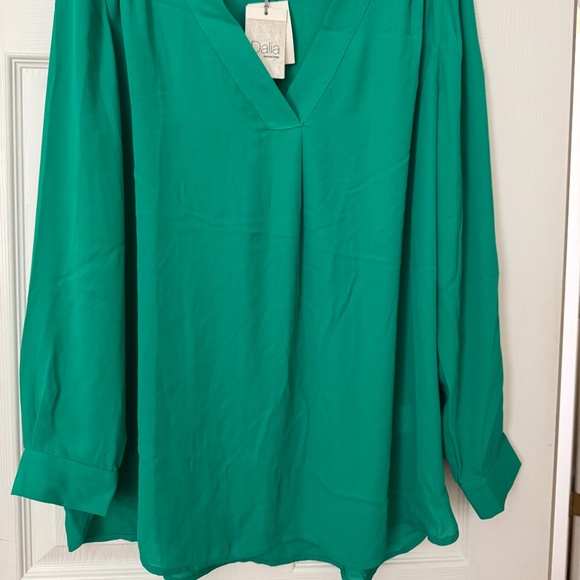 Dalia Blouse - Long sleeve size XL V-neck - Picture 3 of 3